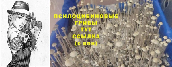 мескалин Нефтекумск