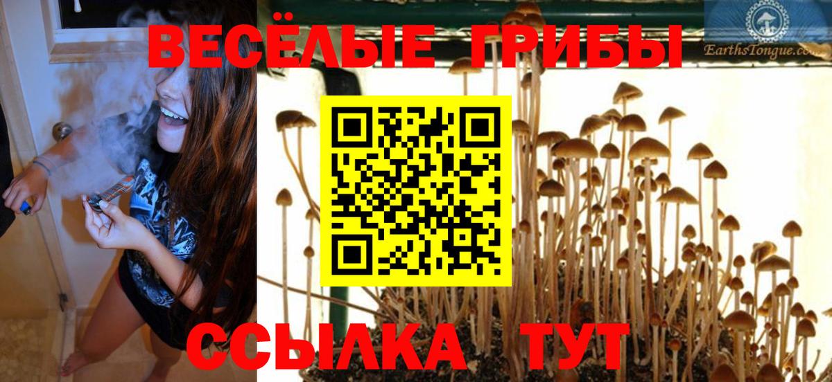 Галлюциногенные грибы мухоморы  Ипатово 