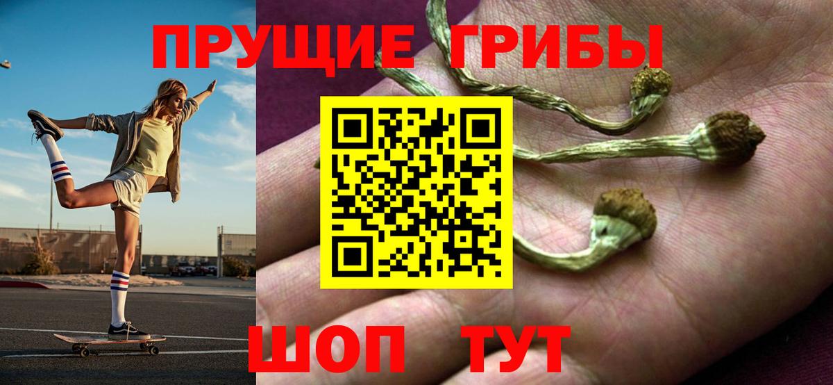 Галлюциногенные грибы ЛСД  цены наркотик  Вход с VPN  Ипатово  Галлюциногенные грибы Psilocybe 